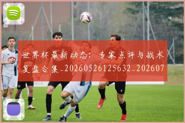 世界杯最新动态：专家点评与战术复盘合集_20260526125632_20260702173916_20260715190708
