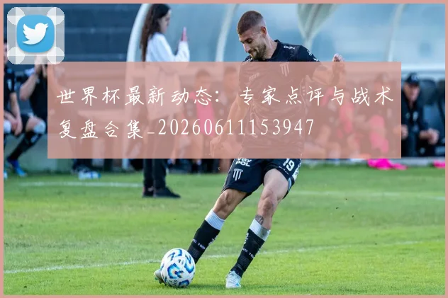 世界杯最新动态:专家点评与战术复盘合集_20260611153947