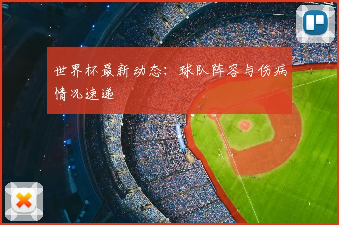 世界杯最新动态:球队阵容与伤病情况速递